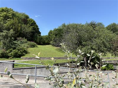 Picture 18